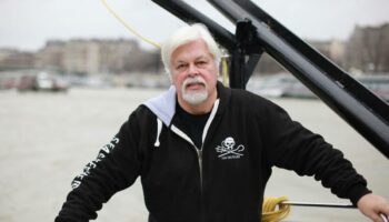 La détention du fondateur de Sea Shepherd, Paul Watson, prolongée de 28 jours au Groenland