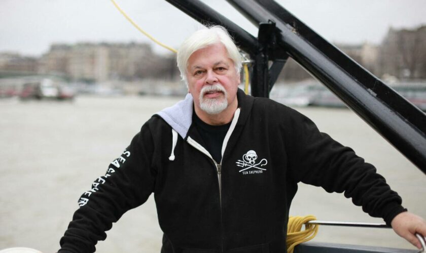 La détention du fondateur de Sea Shepherd, Paul Watson, prolongée de 28 jours au Groenland