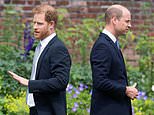 RICHARD EDEN: The 'Meghan problem' and the overlooked reasons courtiers and friends tell me why William and Kate won't welcome back Harry