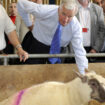 Michel Barnier, un ministre de l’Agriculture ouvert aux questions environnementales