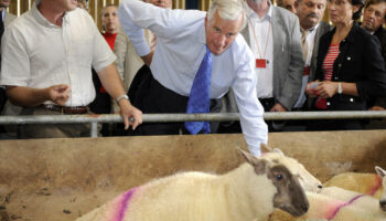 Michel Barnier, un ministre de l’Agriculture ouvert aux questions environnementales