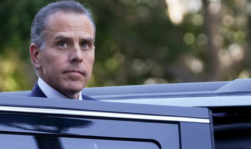 Hunter Biden schlägt dubiosen Deal vor – und bekennt sich dann schuldig