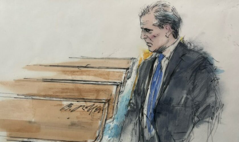 Hunter Biden's 'high drama' day in court ends in shocking guilty plea