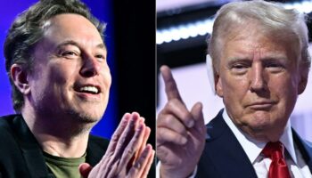 Présidentielle américaine : Donald Trump veut charger Elon Musk d'un "audit" de l'État