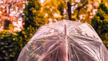 Orages, pluies ou grand soleil... La France coupée en trois ce week-end