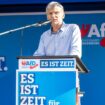 AfD legt in Brandenburg-Umfrage deutlich zu – BSW verliert