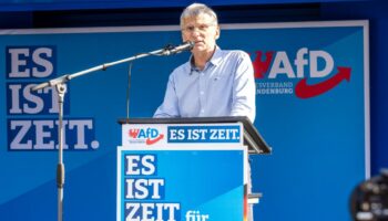 AfD legt in Brandenburg-Umfrage deutlich zu – BSW verliert