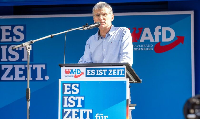 AfD legt in Brandenburg-Umfrage deutlich zu – BSW verliert