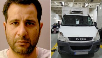 Van driver jailed for smuggling migrants found screaming for help in hidden compartment