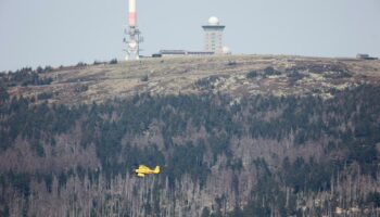 Harz: Etwa 500 Menschen wegen Waldbrand vom Brocken gebracht