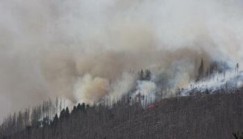 Waldbrand breitet sich am Brocken aus – Löschflugzeuge im Einsatz