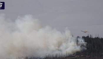 Waldbrand im Harz: 500 Menschen vom Brocken geholt