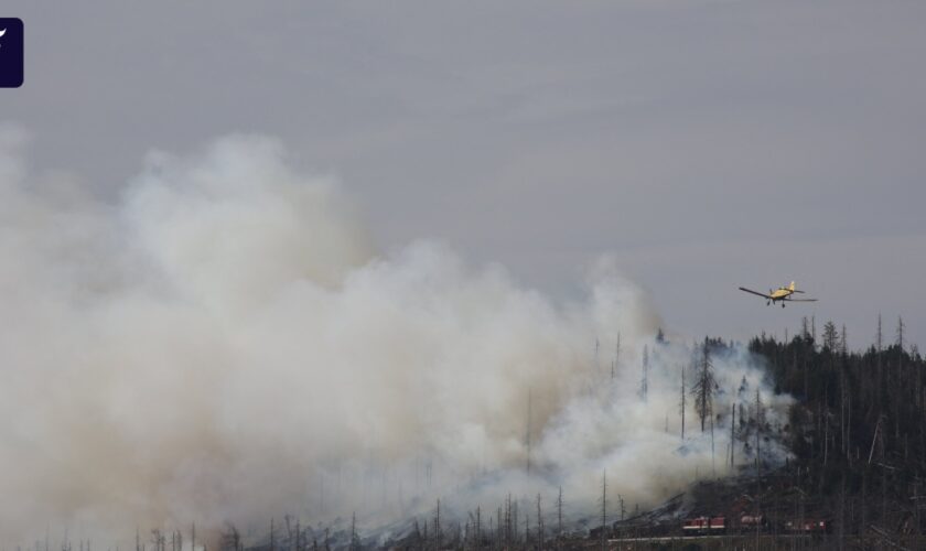 Waldbrand im Harz: 500 Menschen vom Brocken geholt