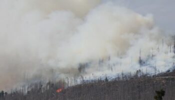 Harz: 500 Menschen werden wegen Waldbrand vom Brocken geholt