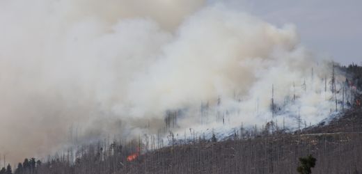 Harz: 500 Menschen werden wegen Waldbrand vom Brocken geholt