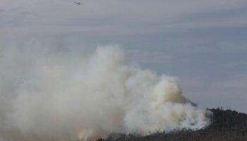 Vor zwei Jahren hatte der Landkreis Harz den Katastrophenfall wegen eines Brandes am Brocken ausgerufen - jetzt ist dort wieder