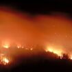 Harz: Waldbrand am Brocken breitet sich weiter aus