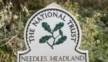 National Trust members to vote on making half of all cafe food vegan