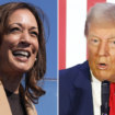 Allan Lichtman predicts Harris as 2024 winner because 'Democrats got smart' and did this