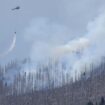 Brand im Harz: Löscharbeiten am Brocken dauern an