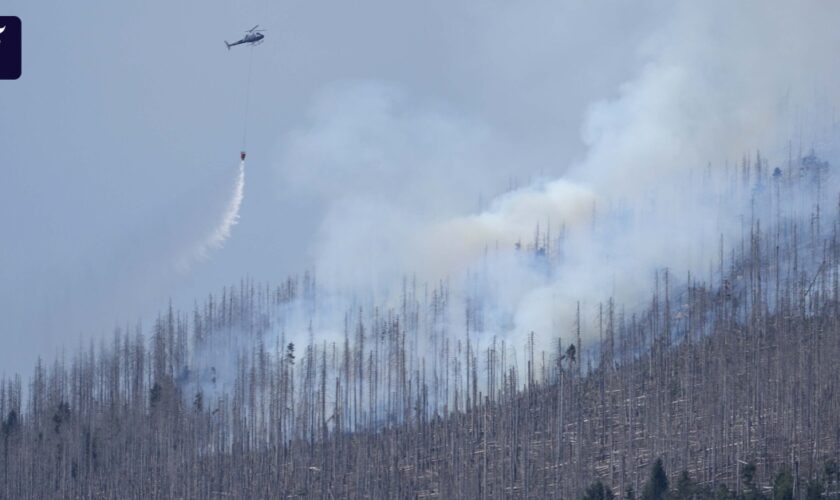 Brand im Harz: Löscharbeiten am Brocken dauern an