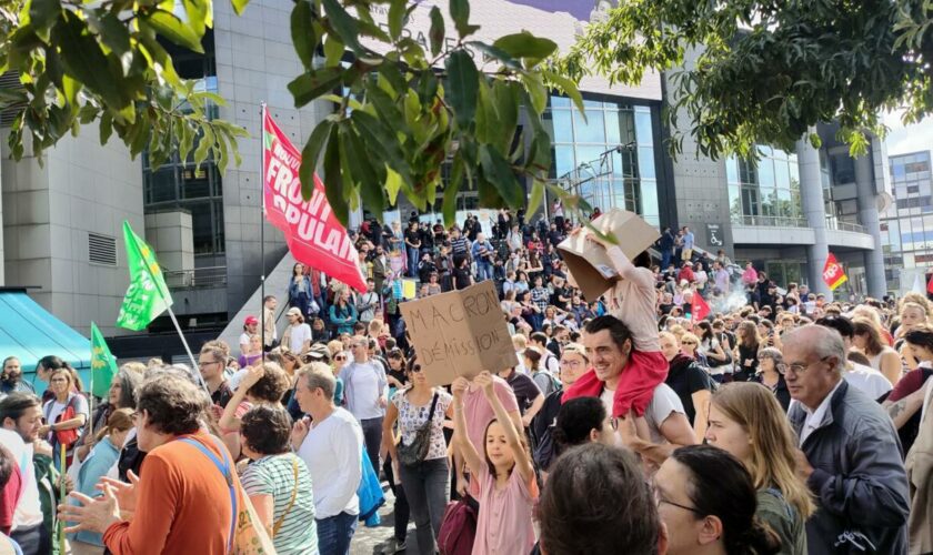 Mobilisation contre Emmanuel Macron à Paris : manifester c'est "tout ce qu’il nous reste"