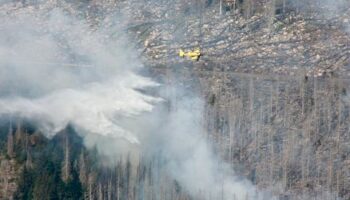 Harz: Feuer am Brocken noch nicht unter Kontrolle trotz Großeinsatz