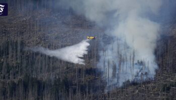 Brand im Harz: Einsatzkräfte hoffen auf Wetterwechsel