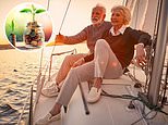 The secret of how YOU can retire with investments worth one million pounds: It might sound like a pipe dream, but with careful planning it's more achievable than you might think...