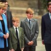 Prince William's 'loving act' for brother Harry 'led him into temptation'