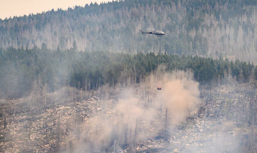 1000 Meter lange Feuerfront im Harz – Nationalparkchef hält Brandstiftung für unwahrscheinlich