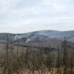 Waldbrand im Harz: Brand am Brocken ist laut Behörden unter Kontrolle