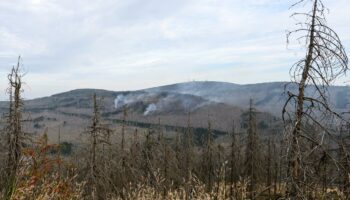 Waldbrand im Harz: Brand am Brocken ist laut Behörden unter Kontrolle