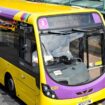 'Bus revolution' measures unveiled to 'save vital routes'