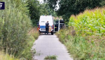 Beim Gassigehen: Hund entdeckt zwei männliche Leichen