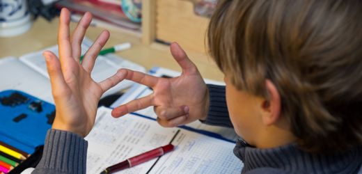 Ifo-Bildungsbarometer: Wie die Deutschen ihre Schulen sehen