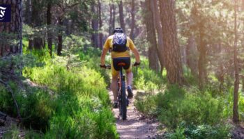 Zukunft des Sports: Selbstfahrende Mountainbikes auf Hochgeschwindigkeits-Waldwegen