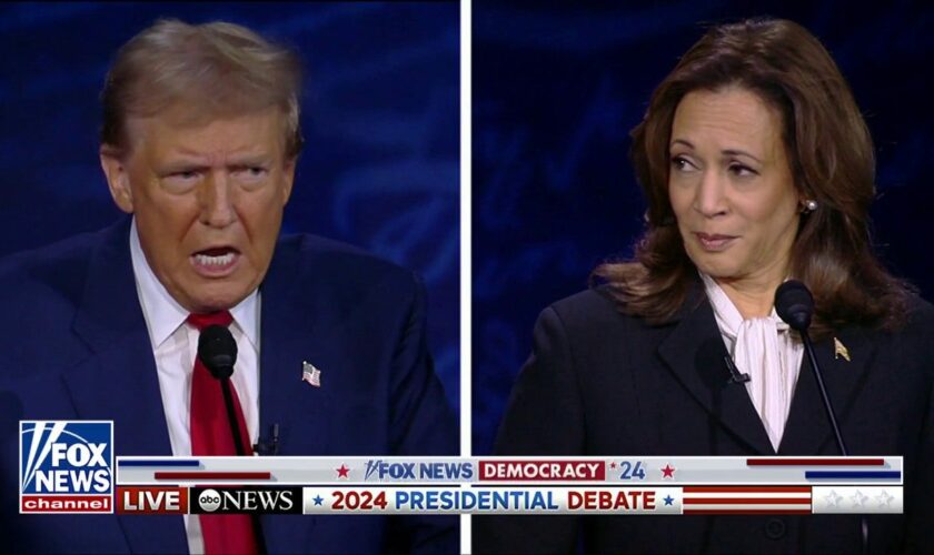 Democrats heap praise on Harris' debate performance, say she 'destroyed' Trump's career