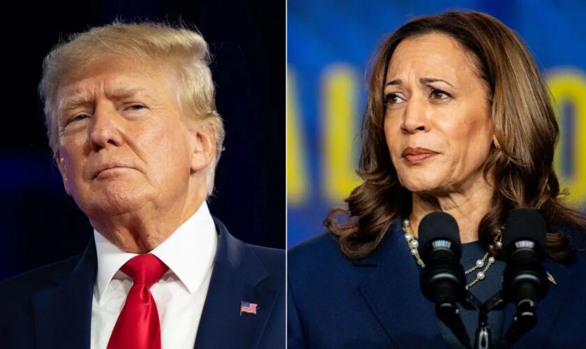 Harris leads in Virginia, a state Trump is aiming to flip: poll