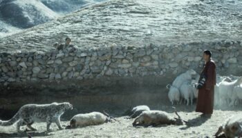 “Le Léopard des neiges”, une fable tibétaine sur l’humain, la nature et la transcendance