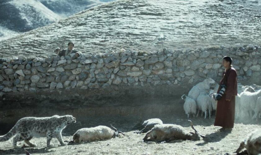 “Le Léopard des neiges”, une fable tibétaine sur l’humain, la nature et la transcendance