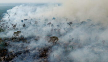 Incendies en Amazonie : l’urgence absolue