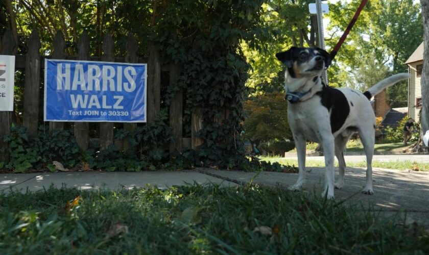 A Harris-Walz sign and a dog in Bucks County, Pennsylvania