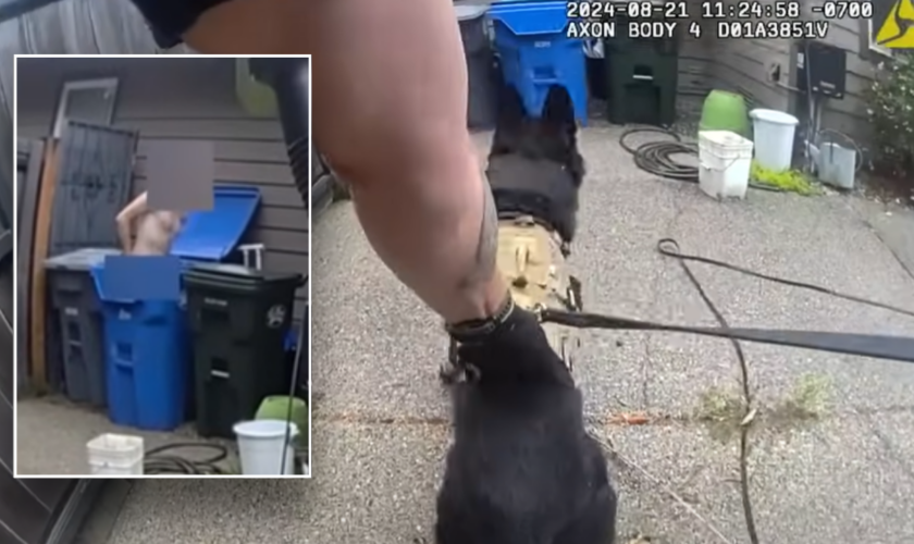 Bodycam footage shows K-9 ending bizarre pursuit involving naked suspect: 'Good boy'