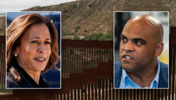 Texas Dem's Senate ad features border wall he once blasted as 'racist'