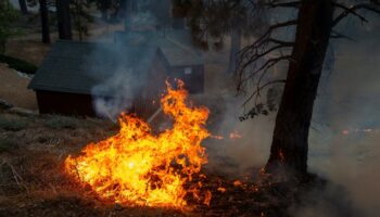 Kalifornien: Gouverneur ruft Notstand wegen Waldbrand bei Los Angeles aus