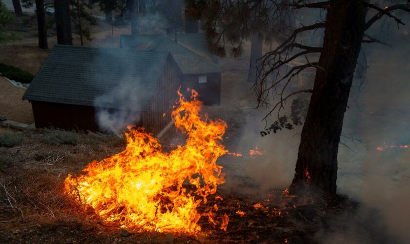 Kalifornien: Gouverneur ruft Notstand wegen Waldbrand bei Los Angeles aus