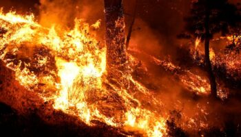 Waldbrände in Kalifornien: Gouverneur ruft Ausnahmezustand in Los Angeles und Vororten aus