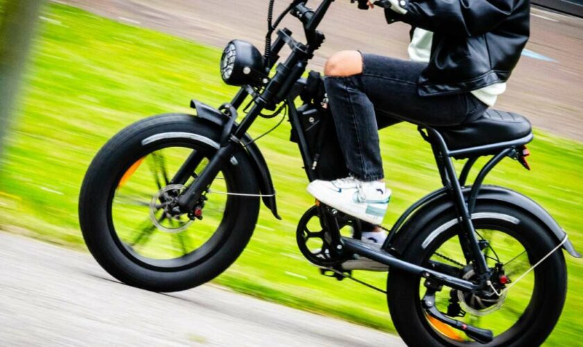 Les Pays-Bas dépassés par les “fatbikes”