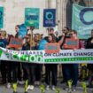 Campaigners against the proposed Whitehaven coal mine outside court during the hearing in July. Pic: Friends of the Earth